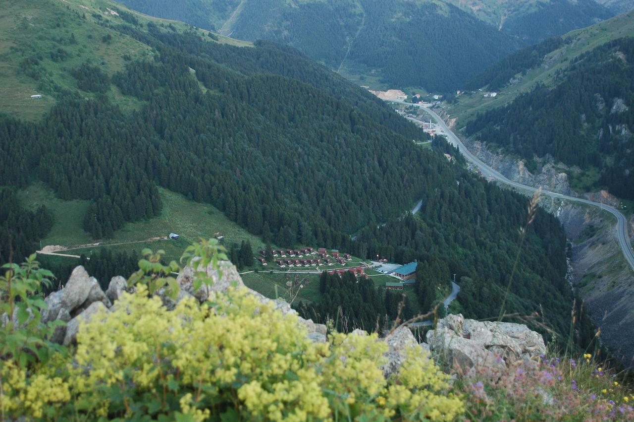 Zitas Zigana Yayla Tatil Koyu Macka Kültér fotó