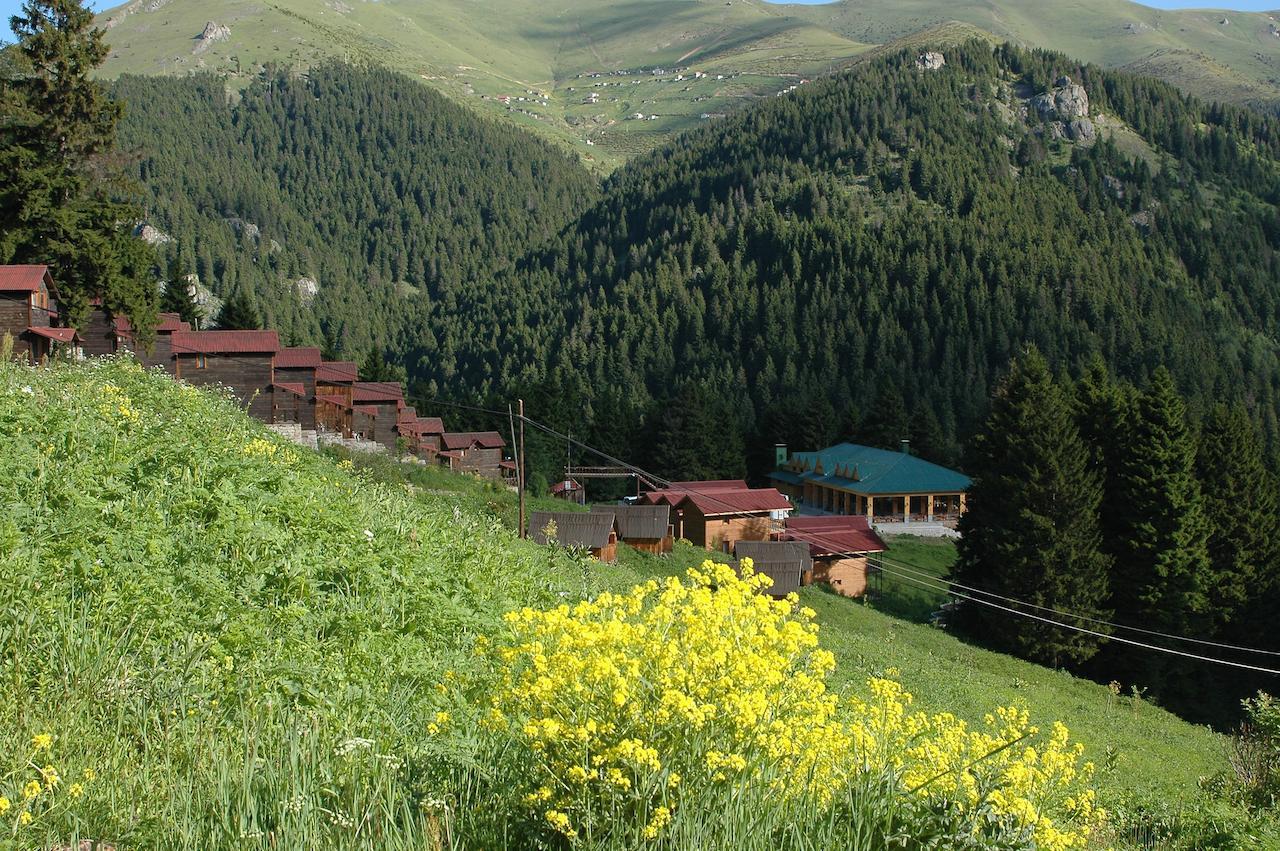 Zitas Zigana Yayla Tatil Koyu Macka Kültér fotó