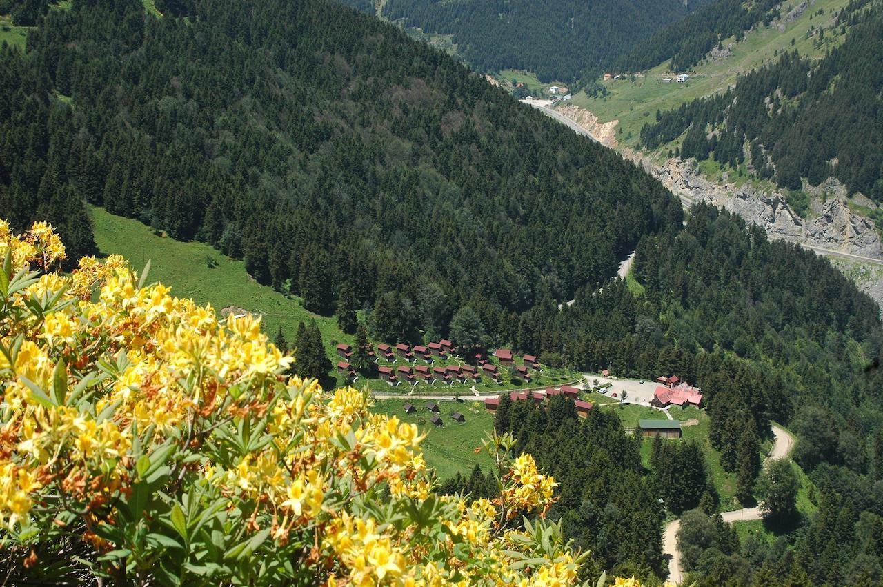 Zitas Zigana Yayla Tatil Koyu Macka Kültér fotó