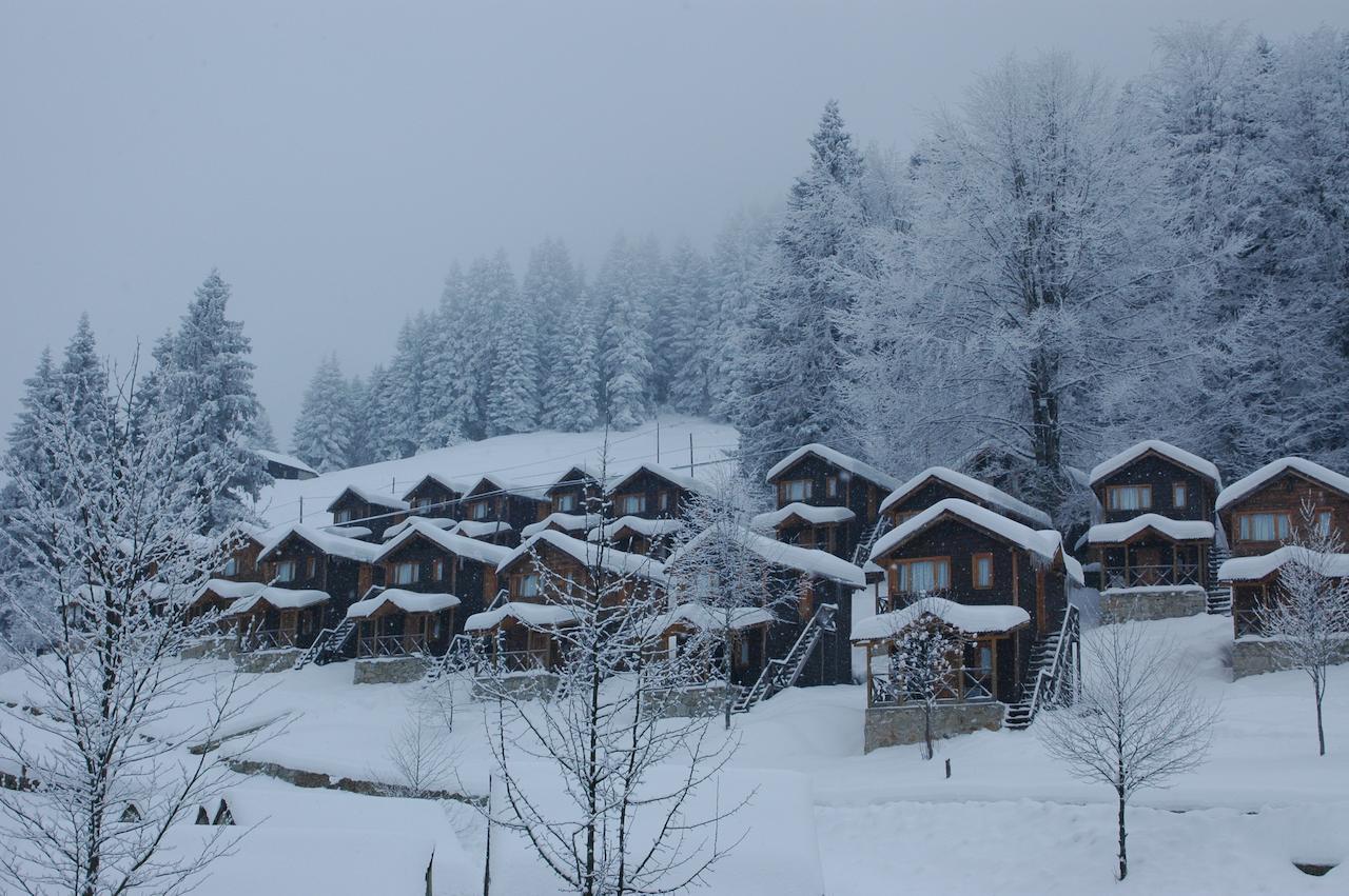 Zitas Zigana Yayla Tatil Koyu Macka Kültér fotó