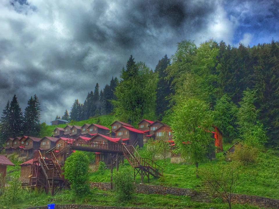 Zitas Zigana Yayla Tatil Koyu Macka Kültér fotó