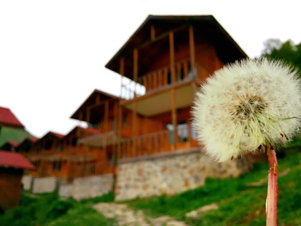 Zitas Zigana Yayla Tatil Koyu Macka Kültér fotó