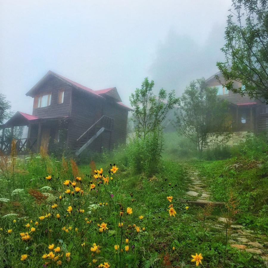 Zitas Zigana Yayla Tatil Koyu Macka Kültér fotó