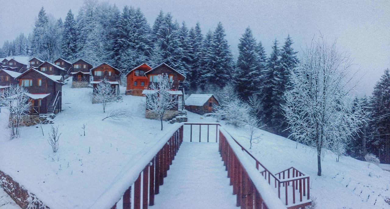 Zitas Zigana Yayla Tatil Koyu Macka Kültér fotó